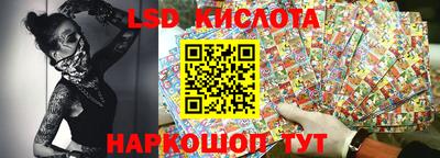 Альфа ПВП Новозыбков