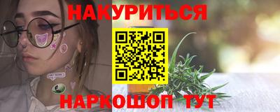 Альфа ПВП Новозыбков