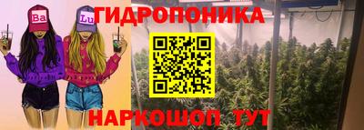 марихуана Новодвинск