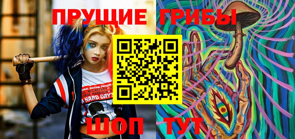Псилоцибиновые грибы Cubensis Северск