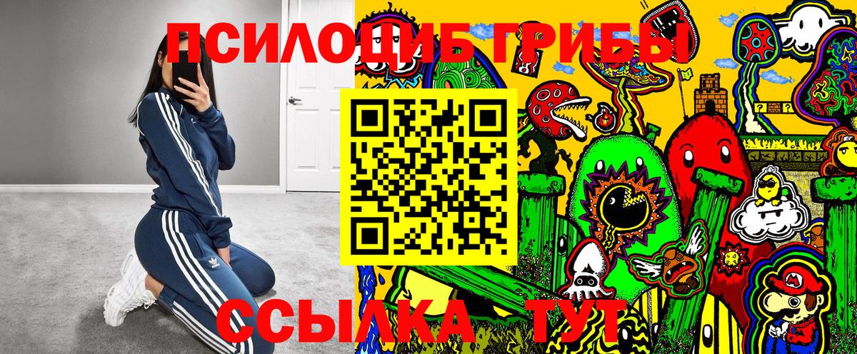 Псилоцибиновые грибы Magic Shrooms  Вход с VPN  Северск  Галлюциногенные грибы Psilocybe 